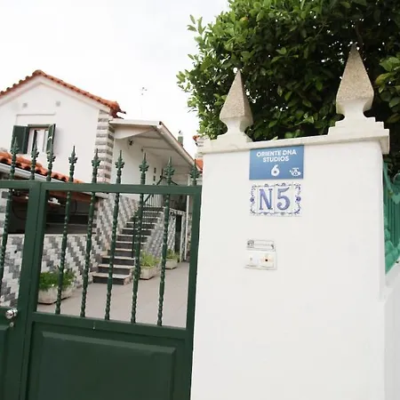 Oriente Dna Studios *