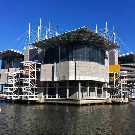 Oriente Dna Apartamento